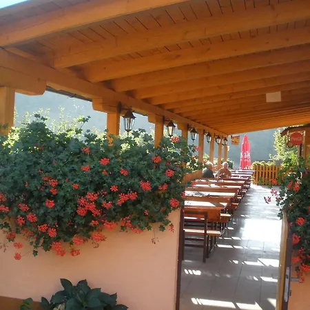Πανσιόν V Zatoce